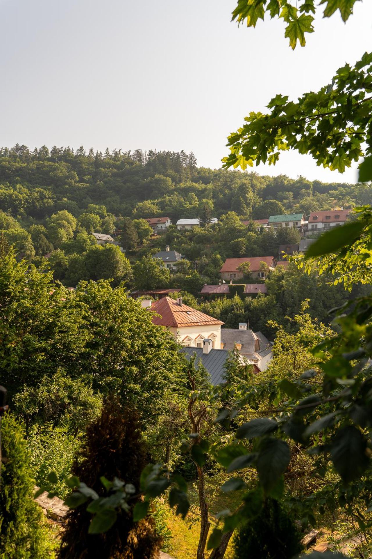 Penzion Prijemny Oddych Banská Štiavnica Exteriör bild